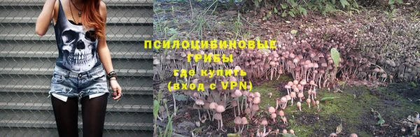 бошки Аркадак