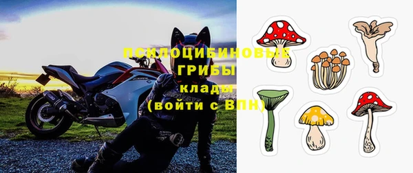 бошки Аркадак